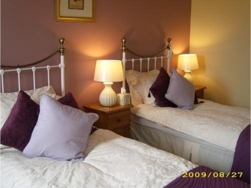The Pack Horse Inn South Brent Habitación foto